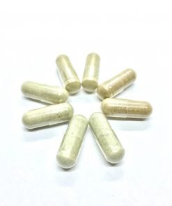Microdose: Variety Pack