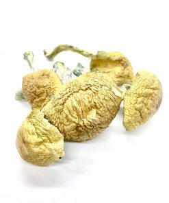 Alacabenzi