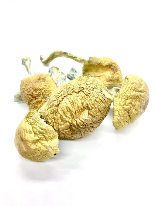 Alacabenzi