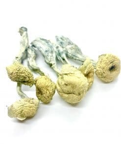 Mazatapec