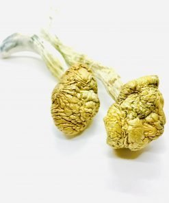 cambodian gold