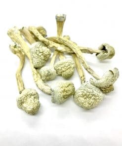 Rusty White