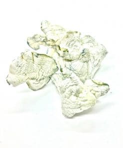 Albino Avery