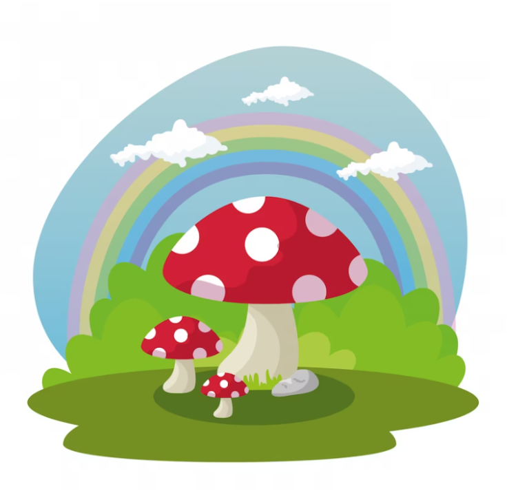 Your Ultimate Guide to Buy Magic Mushrooms in Rimouski