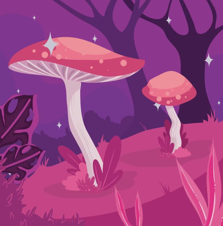 Caledon Mushrooms