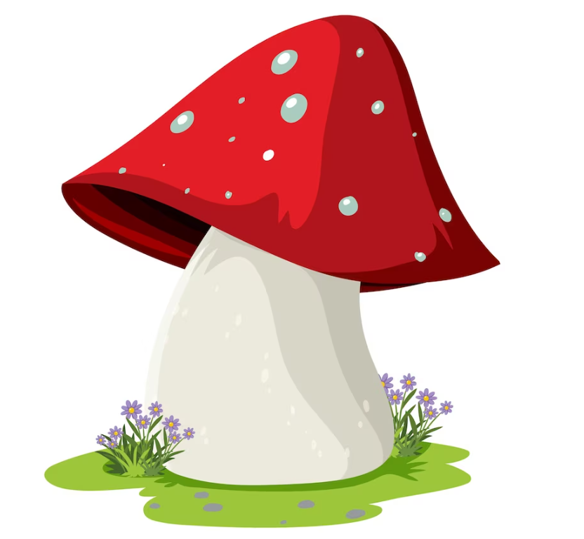 Best Mirabel Mushrooms
