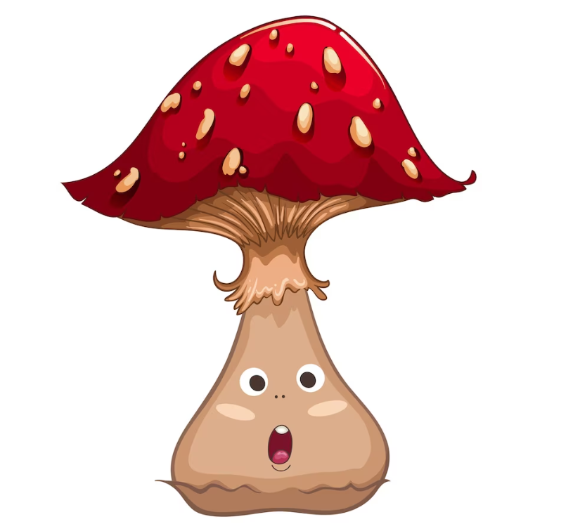 Sainte-Julie Mushrooms