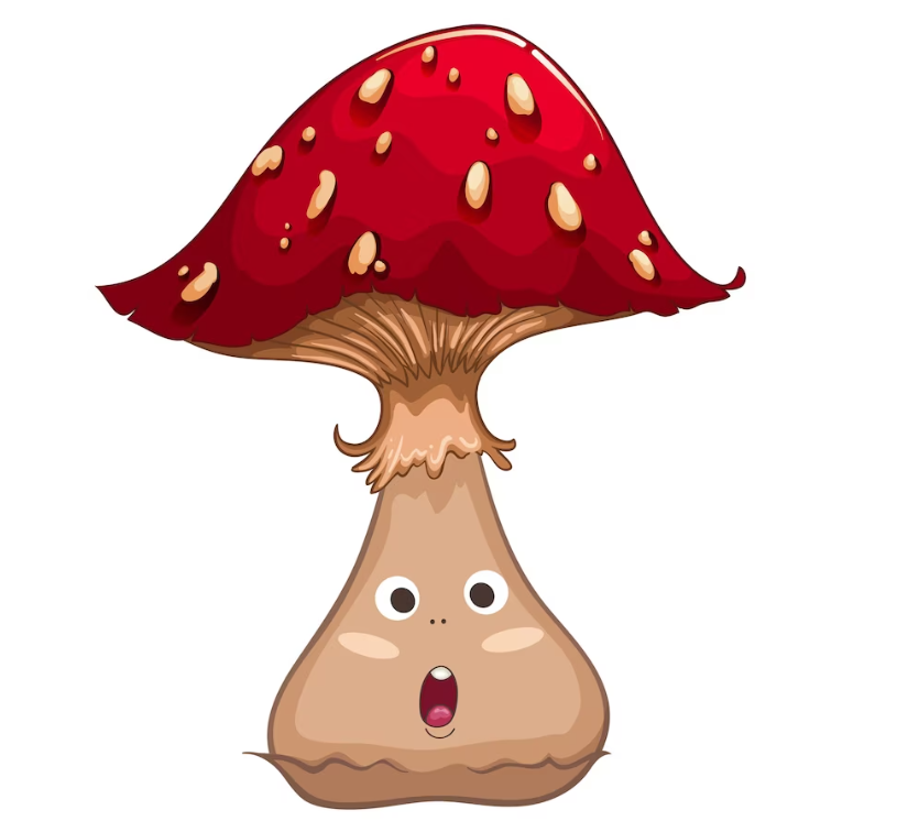 Best Brandon Mushrooms