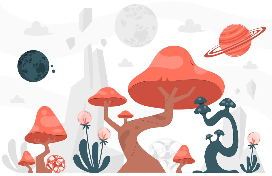 Essex Mushrooms