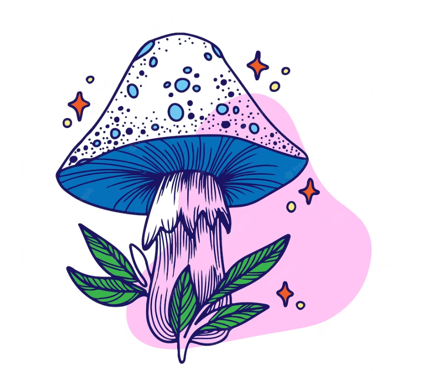 Dieppe Mushrooms