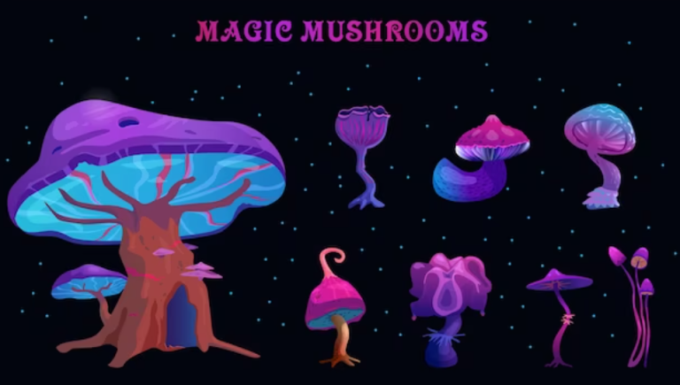 Your Ultimate Guide to Buy Magic Mushrooms in Barrie