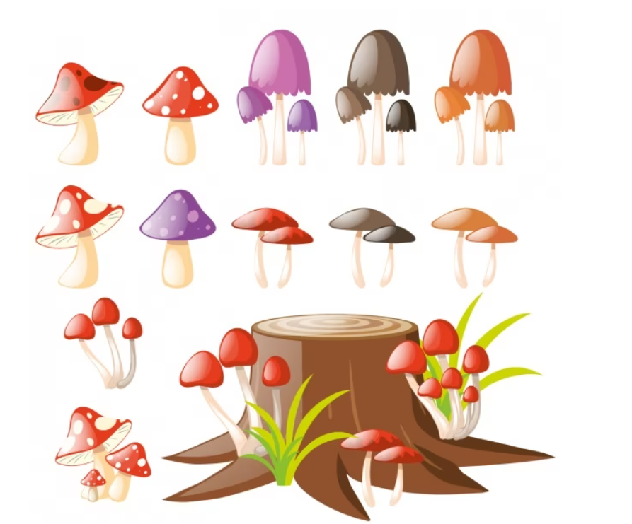 Best Oshawa Mushrooms