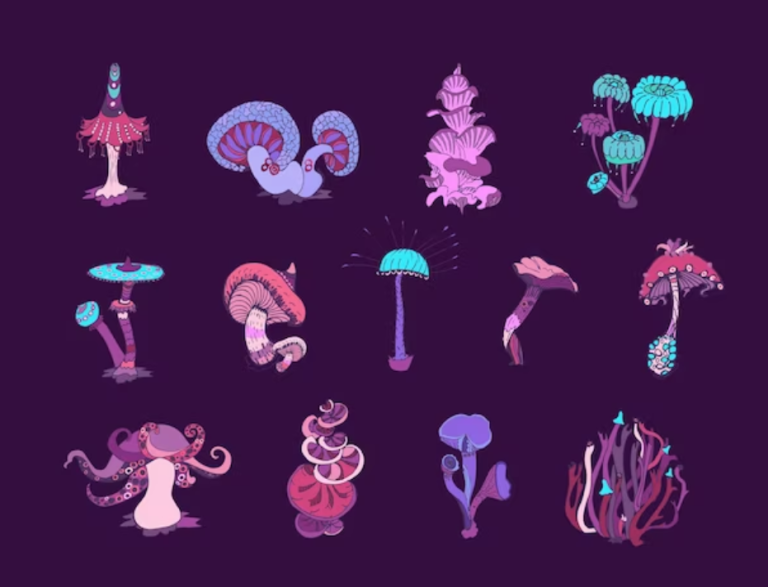 Your Ultimate Guide to Buy Magic Mushrooms in Maple Ridge