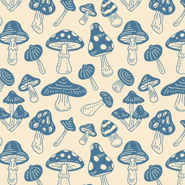 Barrie Mushrooms