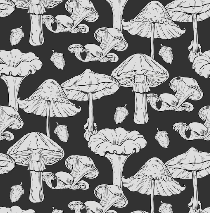 Welland Mushrooms