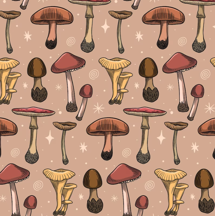 Best Brampton Mushrooms
