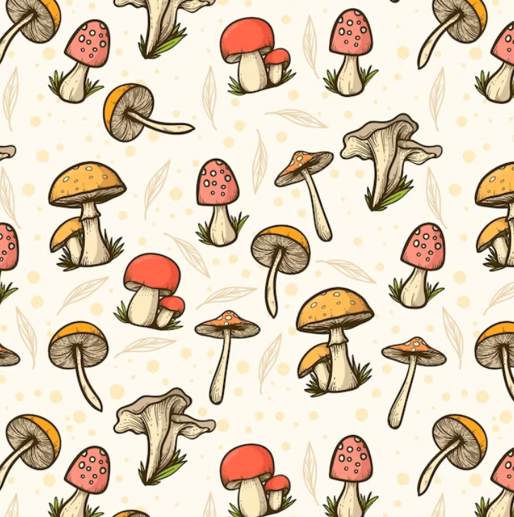 Best Saint John Mushrooms