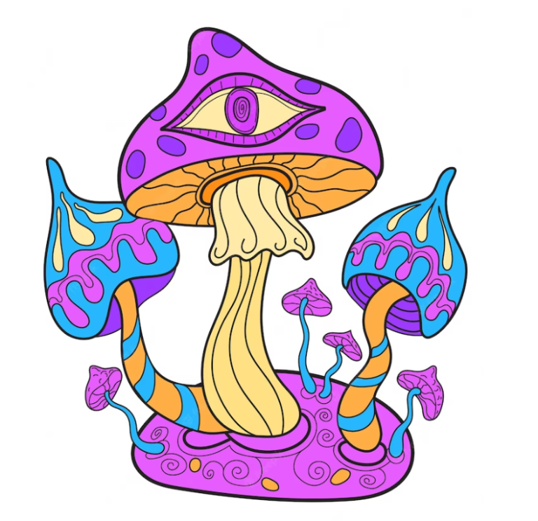 Your Ultimate Guide to Buy Magic Mushrooms in Red Deer