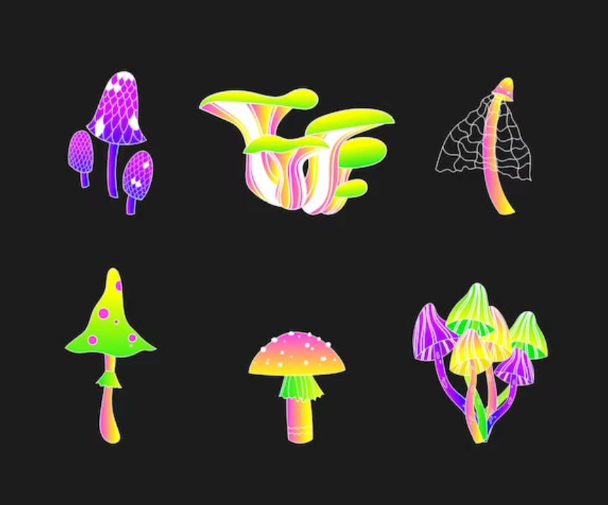 Terrebonne Mushrooms