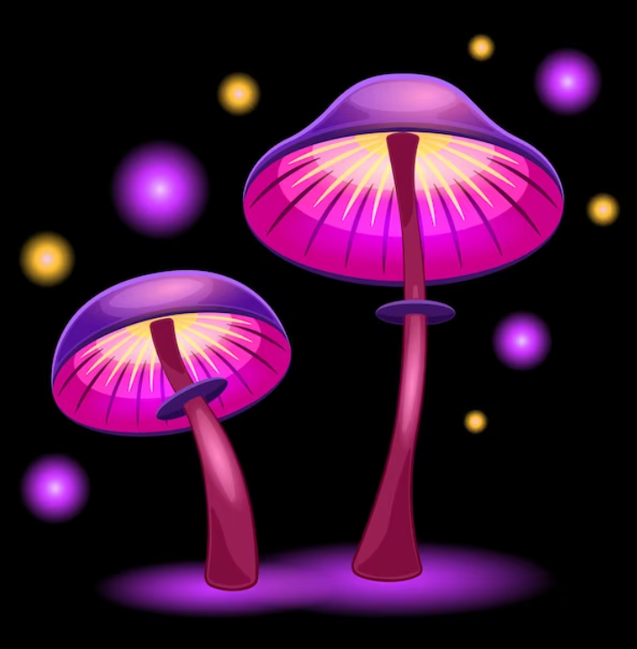 Langley Mushrooms