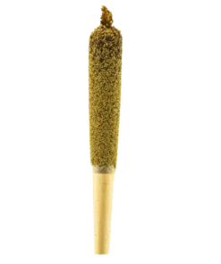 Big Boy Infused Cannabis Pre-Roll