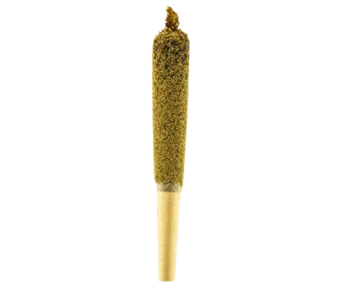 Big Boy Infused Cannabis Pre-Roll