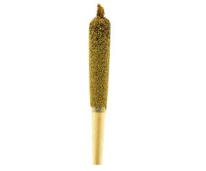 Big Boy Infused Cannabis Pre-Roll