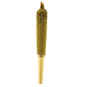 Big Boy Infused Cannabis Pre-Roll