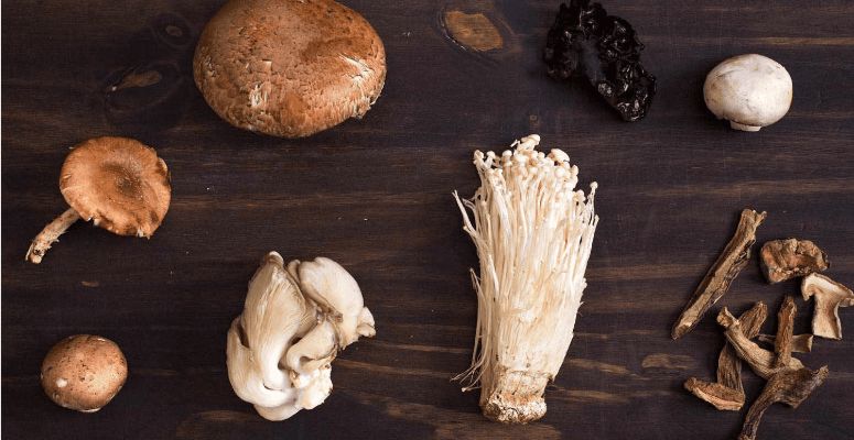 Buying shrooms may be difficult if you're new to using them. You may feel lost between buying from a dealer or a magic mushroom shop. 