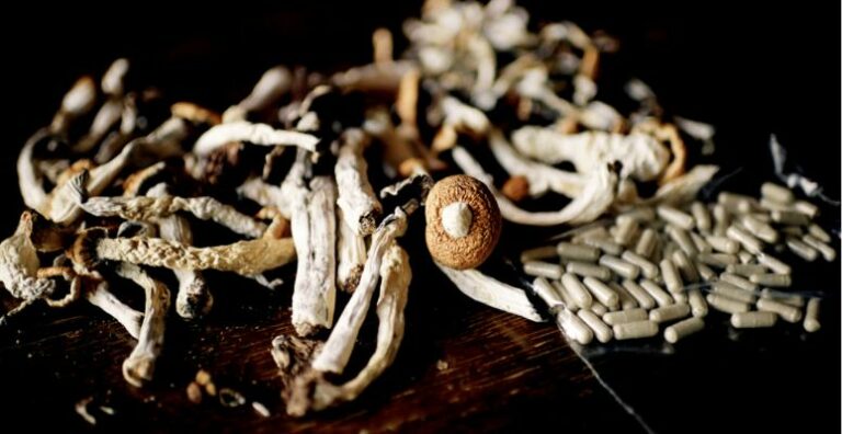 Time Traveler’s Guide: Navigating the Lifespan of Psilocybin – How Long Do Shrooms Last??