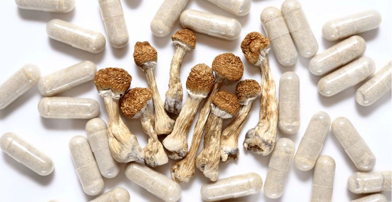 The answer to “How long do shrooms last?” can greatly vary, depending on the user’s metabolism, experience level, and the quality of the product.