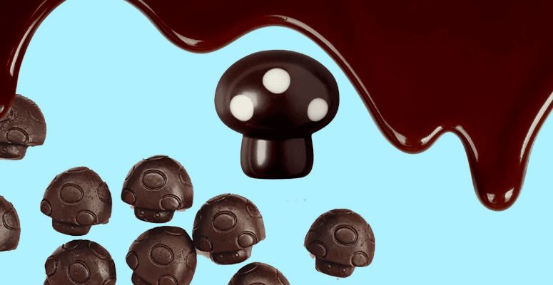 Begin by gathering high-quality chocolate with a cocoa content of at least 70%, preferably dark chocolate, for its rich flavour and smooth texture.