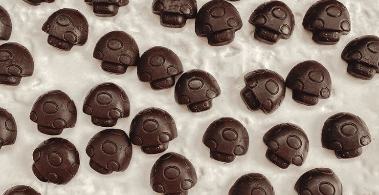 Magic mushrooms in chocolate are just as potent as dried shrooms and potentially more effective. 