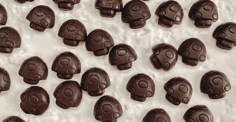 Magic mushrooms in chocolate are just as potent as dried shrooms and potentially more effective.
