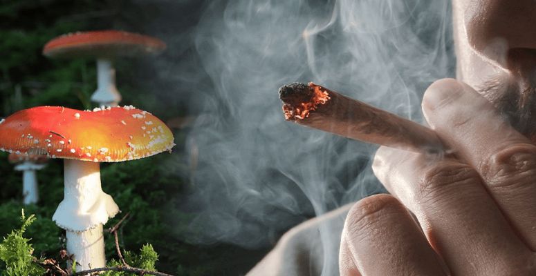 Smoking magic mushrooms comes with serious risks that can affect both your physical and mental health. 