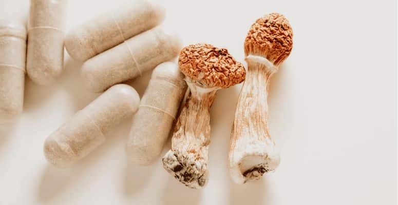 If you are a complete beginner or someone with a low tolerance level, consider micro dosing. At Shroom Hub, you'll discover various products, including micro dose mushrooms for a milder euphoric trip.