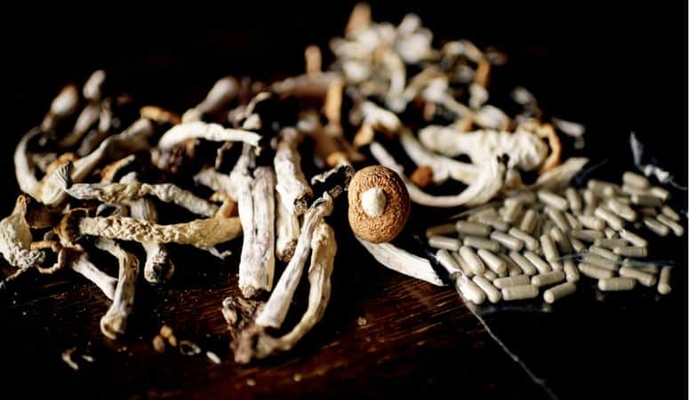 Ever wanted to buy magic mushrooms in Ottawa? Here's a quick guide on Ottawa mushrooms and how to easily access them at Shroom Hub. 