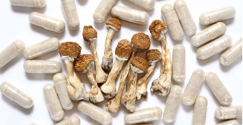 Everyone's buzzing about Alberta mushroom — and no wonder, they're the highest-quality shrooms you can get in Canada.