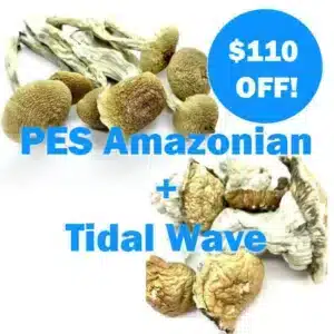 1 oz Mix and Match | 14g PES Amazonian + 14g Tidal Wave
